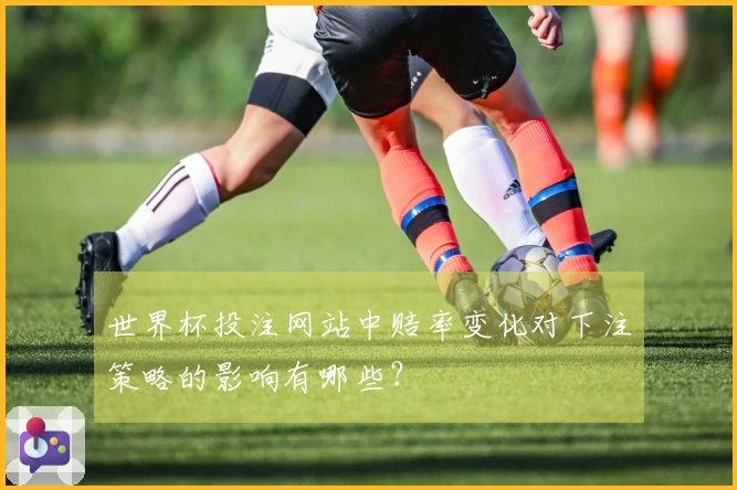 世界杯投注网站中赔率变化对下注策略的影响有哪些？