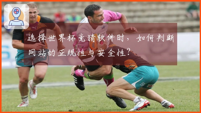 选择世界杯竞猜软件时，如何判断网站的正规性与安全性？