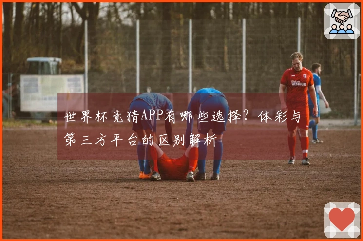 世界杯竞猜APP有哪些选择？体彩与第三方平台的区别解析