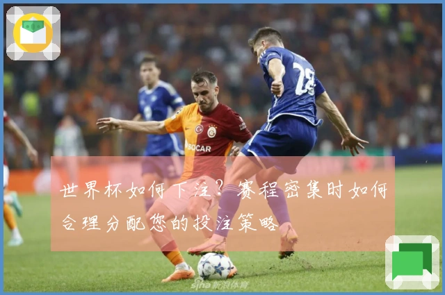 世界杯如何下注？赛程密集时如何合理分配您的投注策略