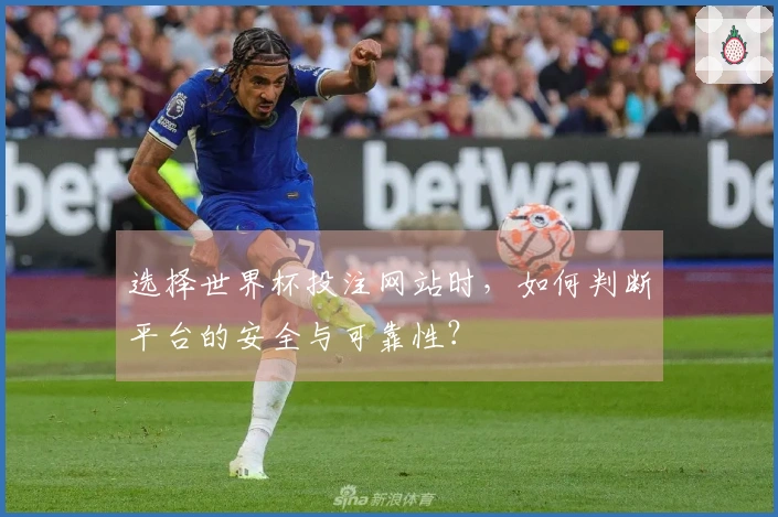 选择世界杯投注网站时，如何判断平台的安全与可靠性？