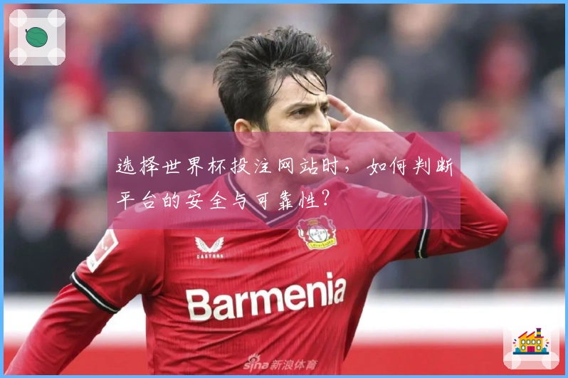 选择世界杯投注网站时，如何判断平台的安全与可靠性？