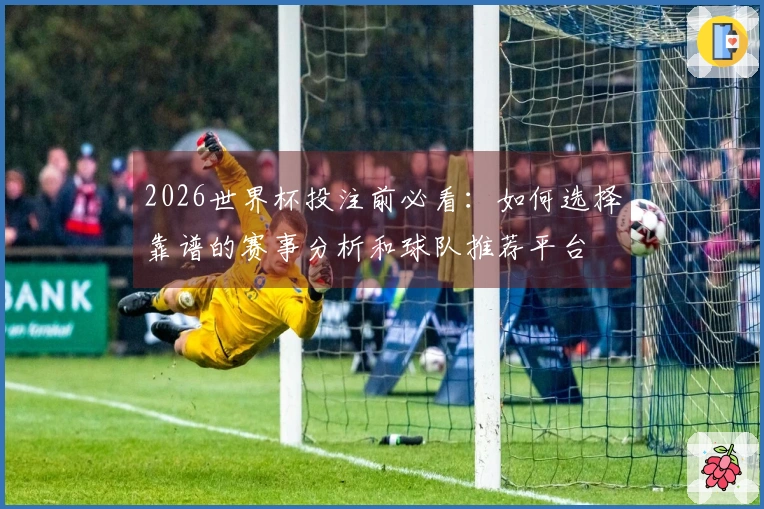 2026世界杯投注前必看：如何选择靠谱的赛事分析和球队推荐平台