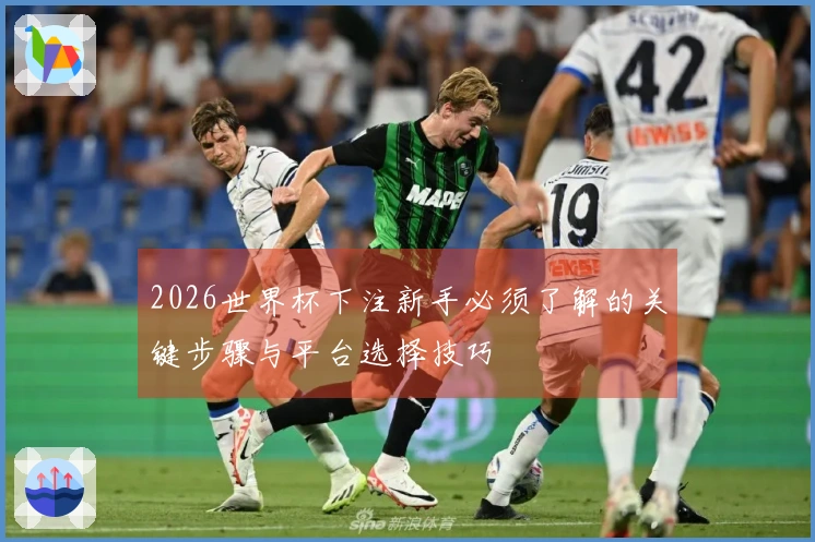 2026世界杯下注新手必须了解的关键步骤与平台选择技巧