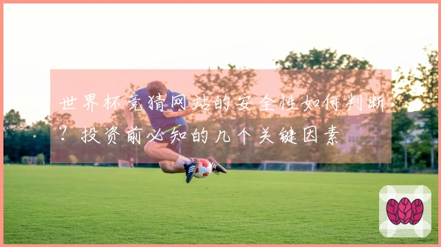 世界杯竞猜网站的安全性如何判断？投资前必知的几个关键因素