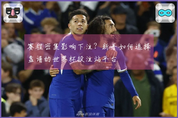 赛程密集影响下注？新手如何选择靠谱的世界杯投注站平台