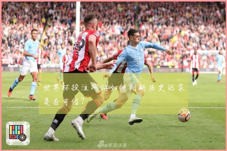 世界杯投注网站如何判断历史记录是否可信？