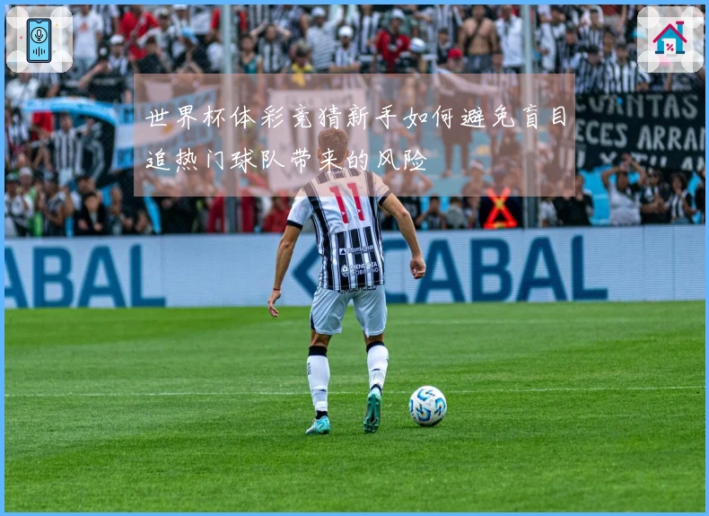 世界杯体彩竞猜新手如何避免盲目追热门球队带来的风险