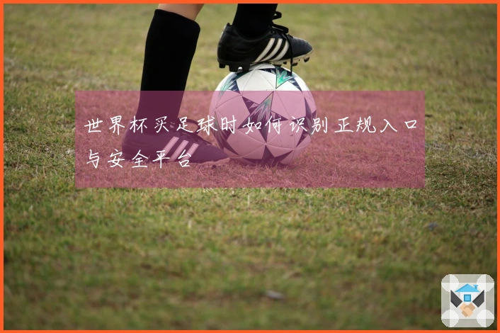 世界杯买足球时如何识别正规入口与安全平台