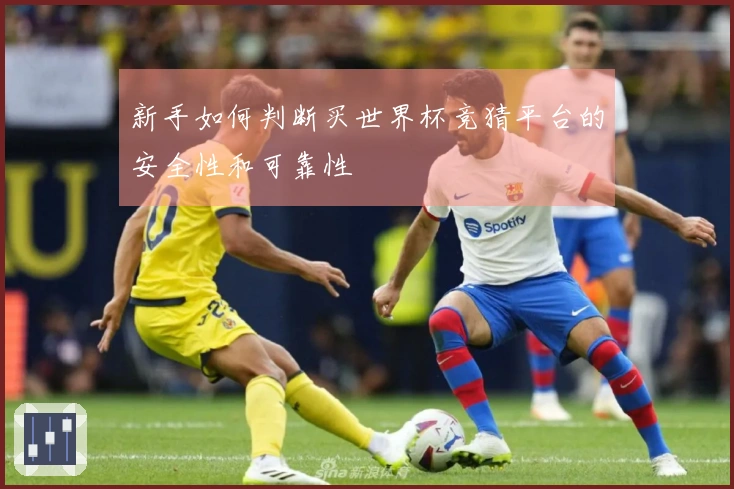 新手如何判断买世界杯竞猜平台的安全性和可靠性