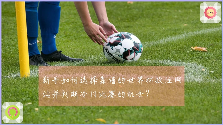 新手如何选择靠谱的世界杯投注网站并判断冷门比赛的机会？