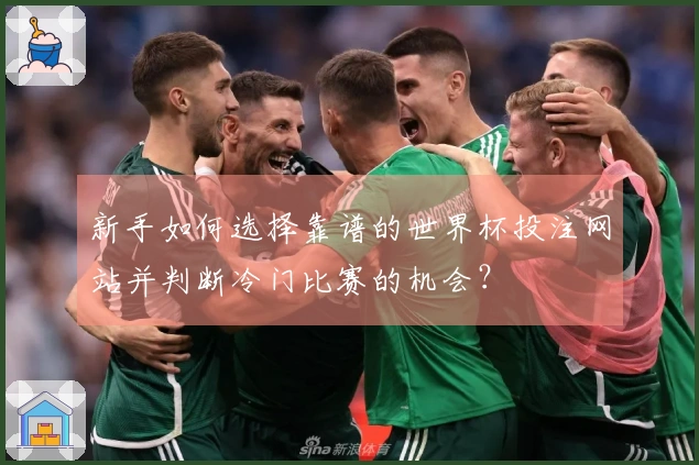 新手如何选择靠谱的世界杯投注网站并判断冷门比赛的机会？