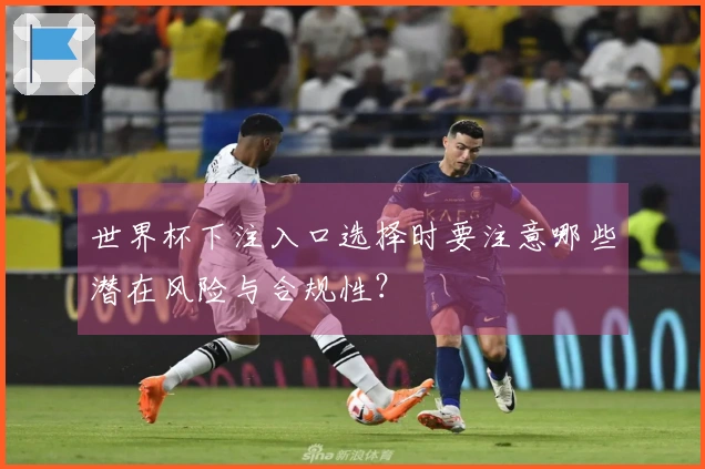 世界杯下注入口选择时要注意哪些潜在风险与合规性？