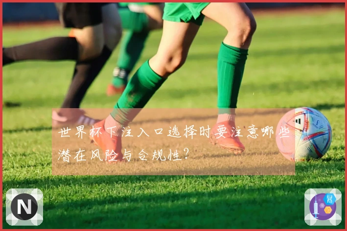 世界杯下注入口选择时要注意哪些潜在风险与合规性？