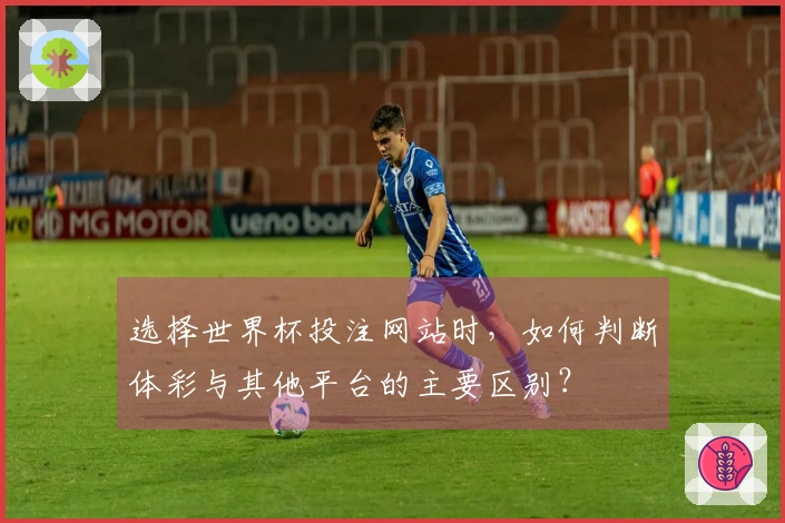 选择世界杯投注网站时，如何判断体彩与其他平台的主要区别？