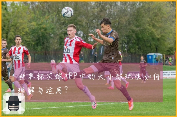 世界杯买球APP中的大小球玩法如何理解与运用？