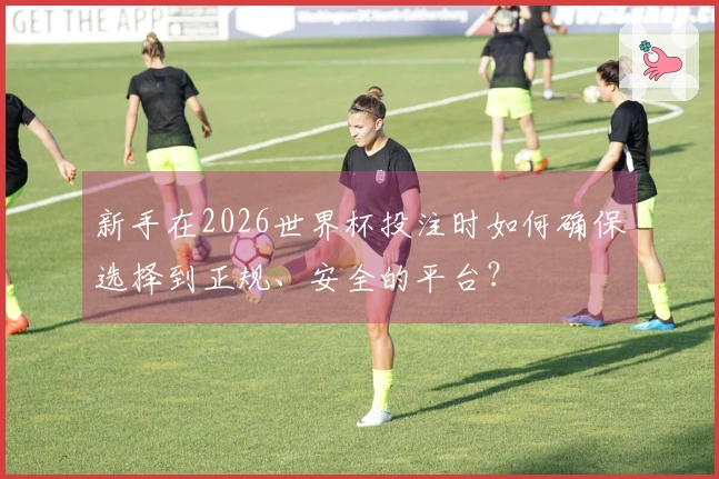 新手在2026世界杯投注时如何确保选择到正规、安全的平台？