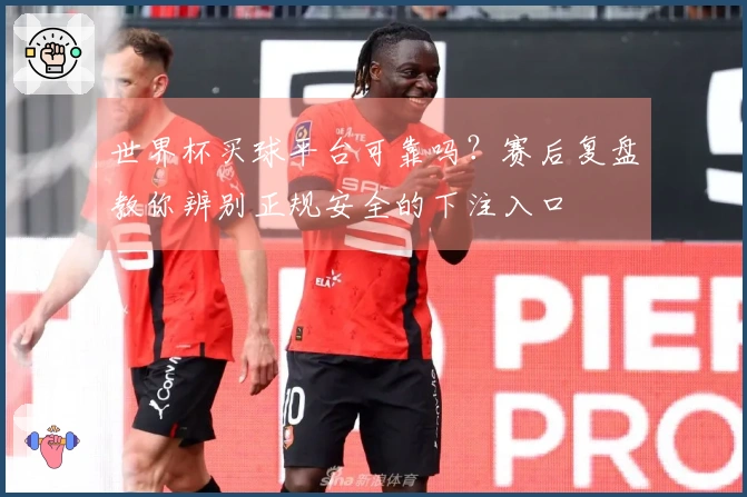 世界杯买球平台可靠吗？赛后复盘教你辨别正规安全的下注入口