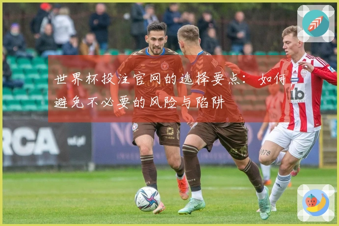 世界杯投注官网的选择要点：如何避免不必要的风险与陷阱