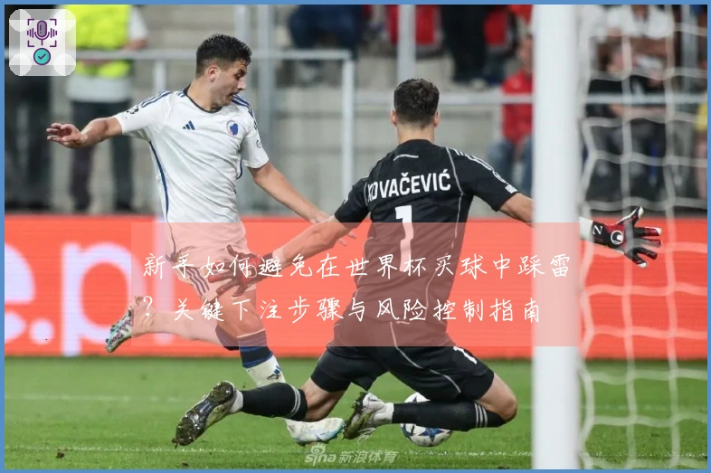 新手如何避免在世界杯买球中踩雷？关键下注步骤与风险控制指南