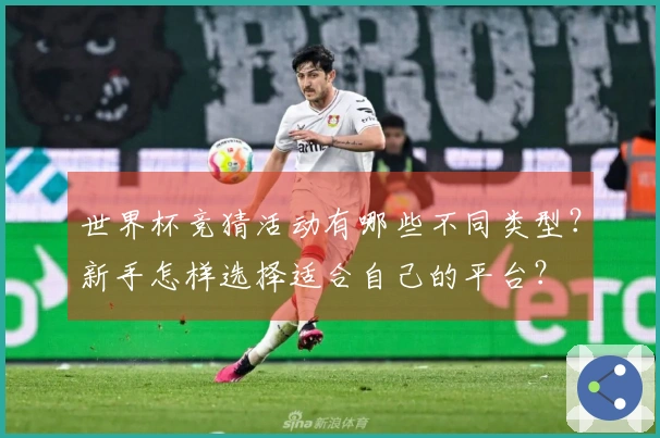 世界杯竞猜活动有哪些不同类型？新手怎样选择适合自己的平台？